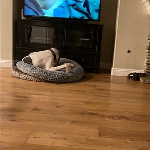 Meet your Posher, Richard